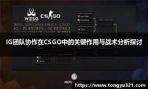 IG团队协作在CSGO中的关键作用与战术分析探讨
