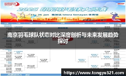南京羽毛球队状态对比深度剖析与未来发展趋势探讨