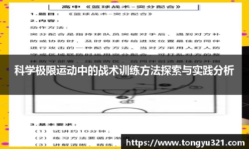 yy易游