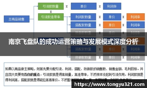南京飞盘队的成功运营策略与发展模式深度分析