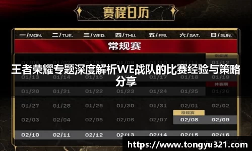 王者荣耀专题深度解析WE战队的比赛经验与策略分享