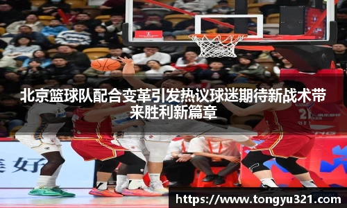 yy易游
