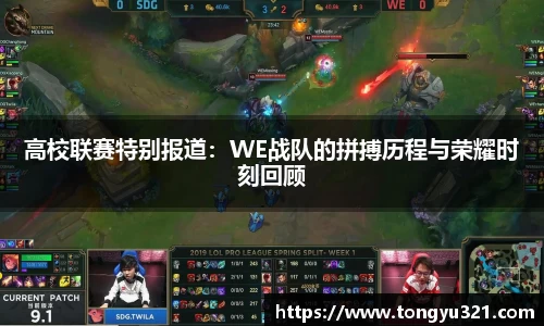高校联赛特别报道：WE战队的拼搏历程与荣耀时刻回顾