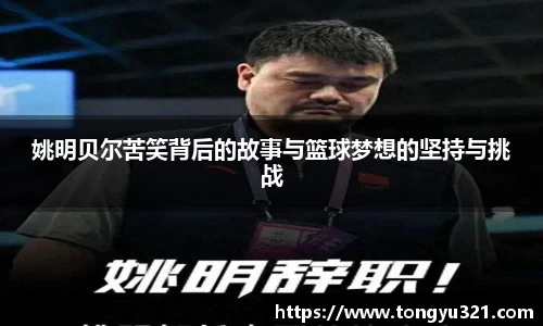 yy体育