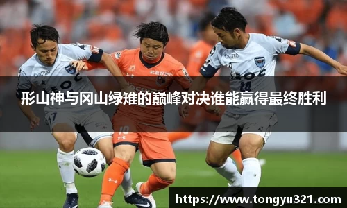 形山神与冈山绿雉的巅峰对决谁能赢得最终胜利
