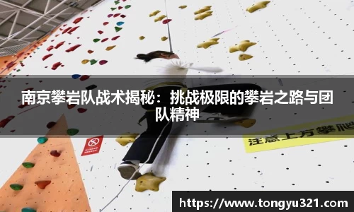 南京攀岩队战术揭秘：挑战极限的攀岩之路与团队精神
